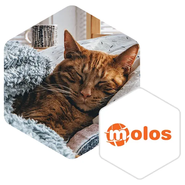 Molos supplier